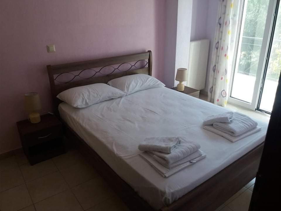 Zoe'S Apartments Nea Iraklitsa 外观 照片