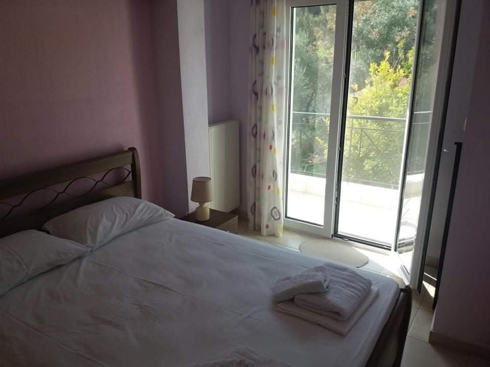 Zoe'S Apartments Nea Iraklitsa 外观 照片